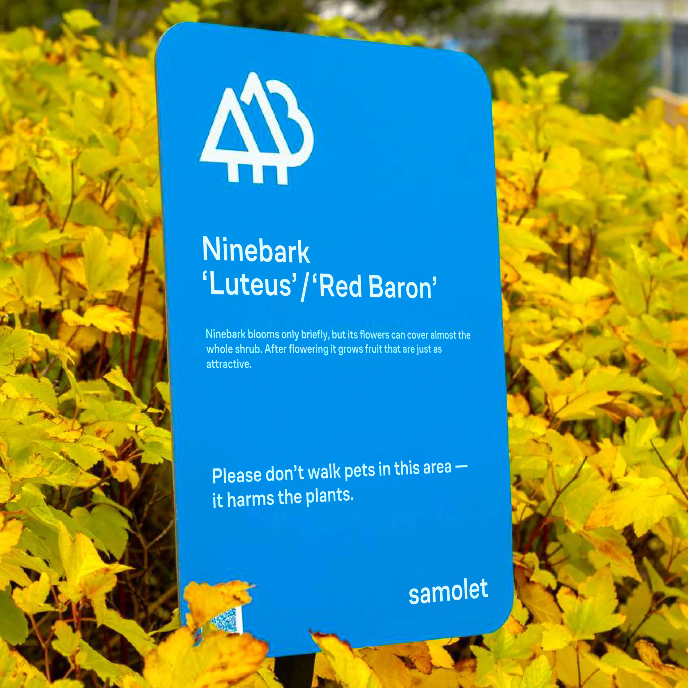 Plant sign in a Samolet park